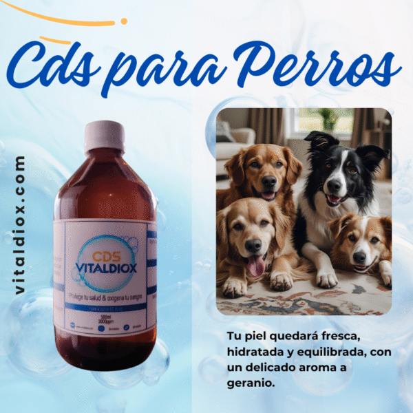 CDS para perros
