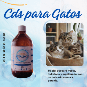 CDS para gatos