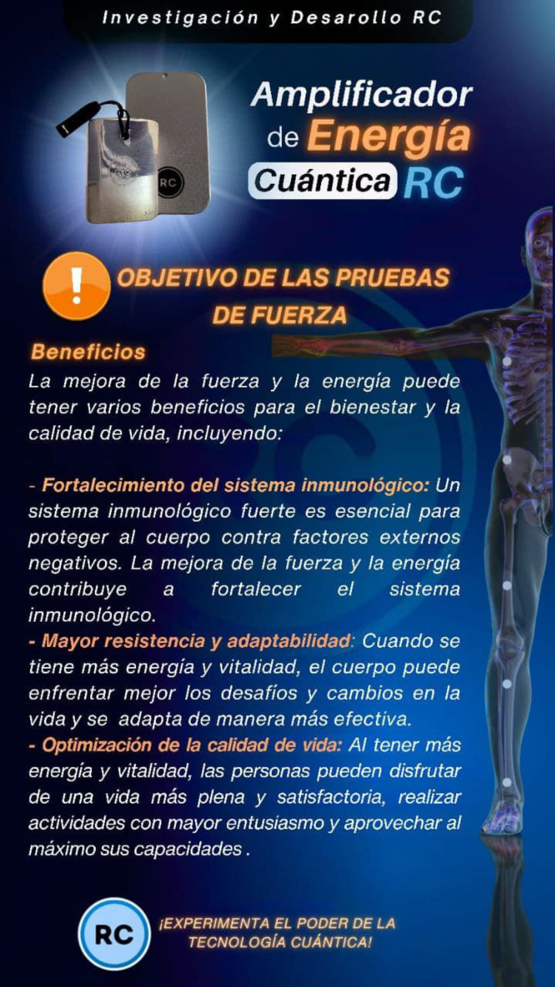 Amplificador rc plata 2